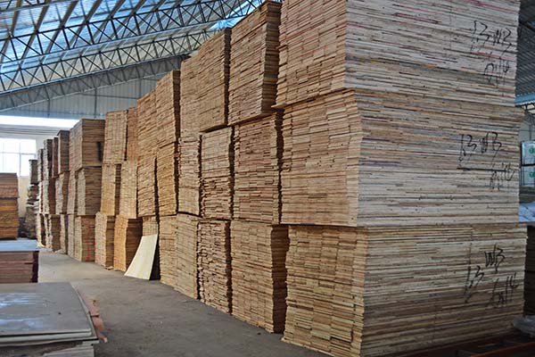 Lijun ecological board raw material warehouse area