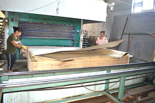 Composite technology wood leather workshop